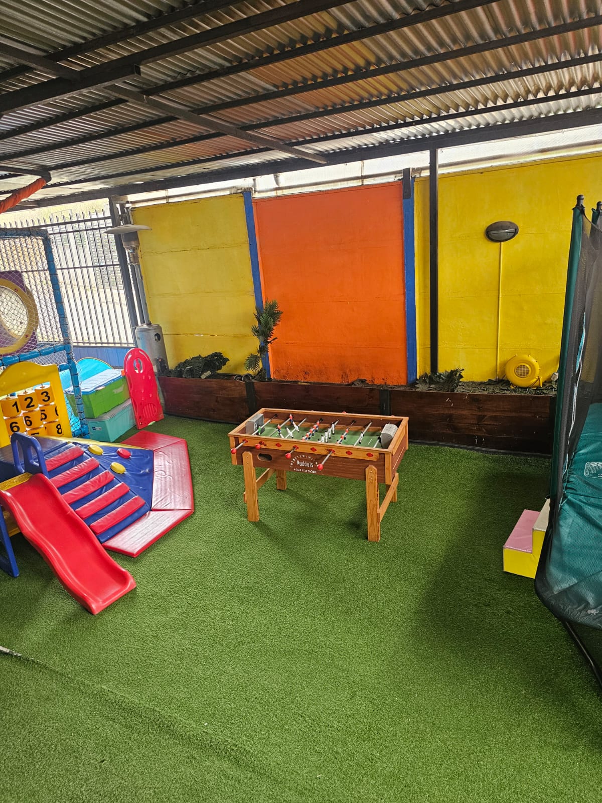 WhatsApp Image 2025-03-31 at 10.33.30 PM (1)